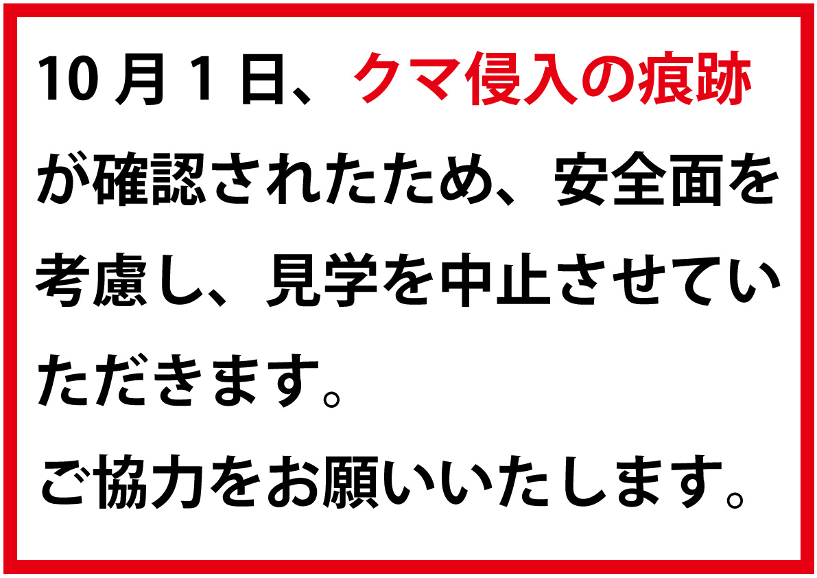 クマの痕跡臨時休業